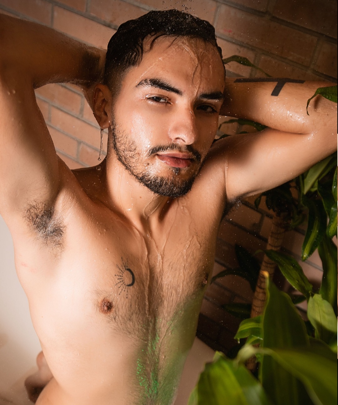 632570458 | ALEK | Chico