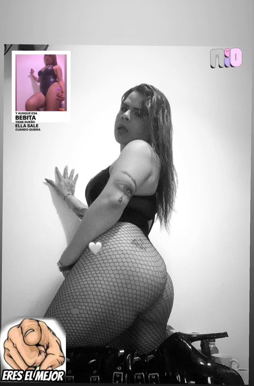657399881 | MAITE | Transexual