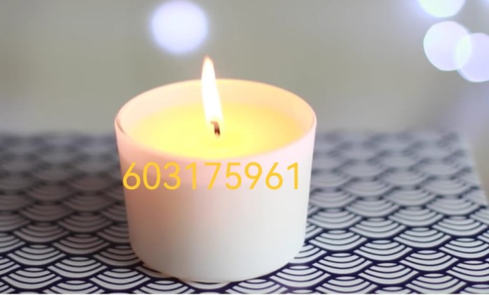 603175961 | ANY | Chica