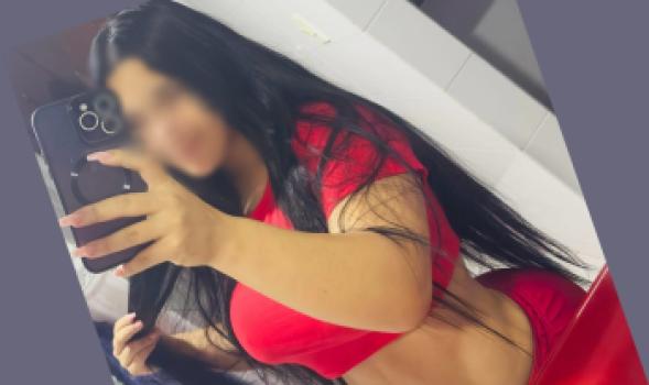 631330704
