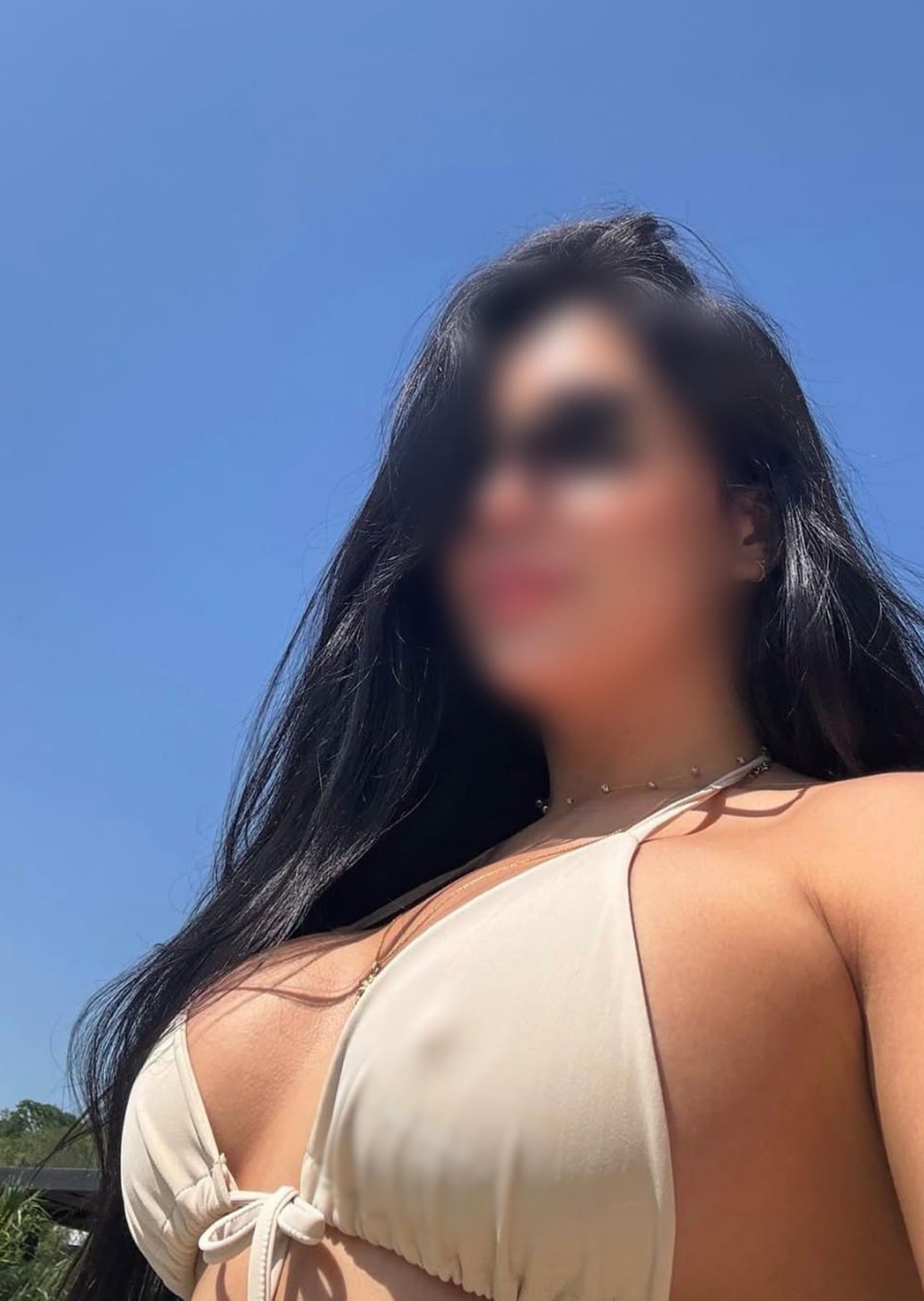624398077|NIKOL|Chica