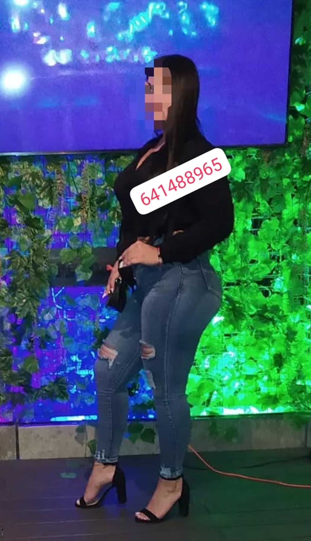 641488965|SOFIA|Chica