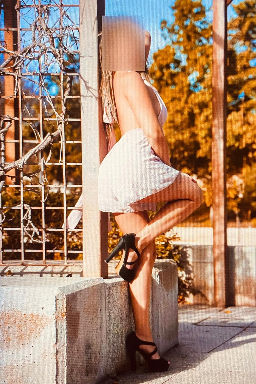 612599976|MOLY|Chica