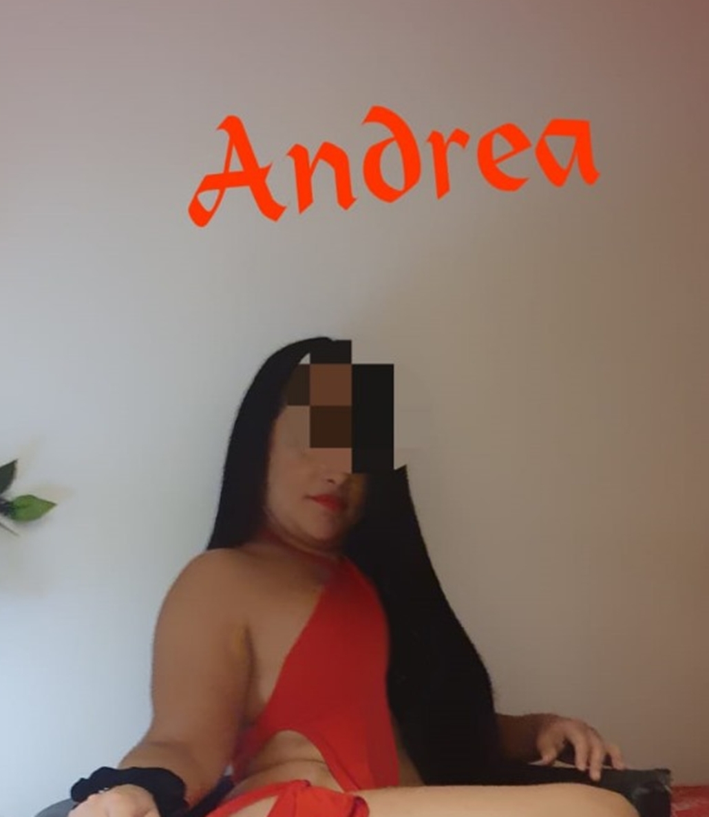 gallery-photo