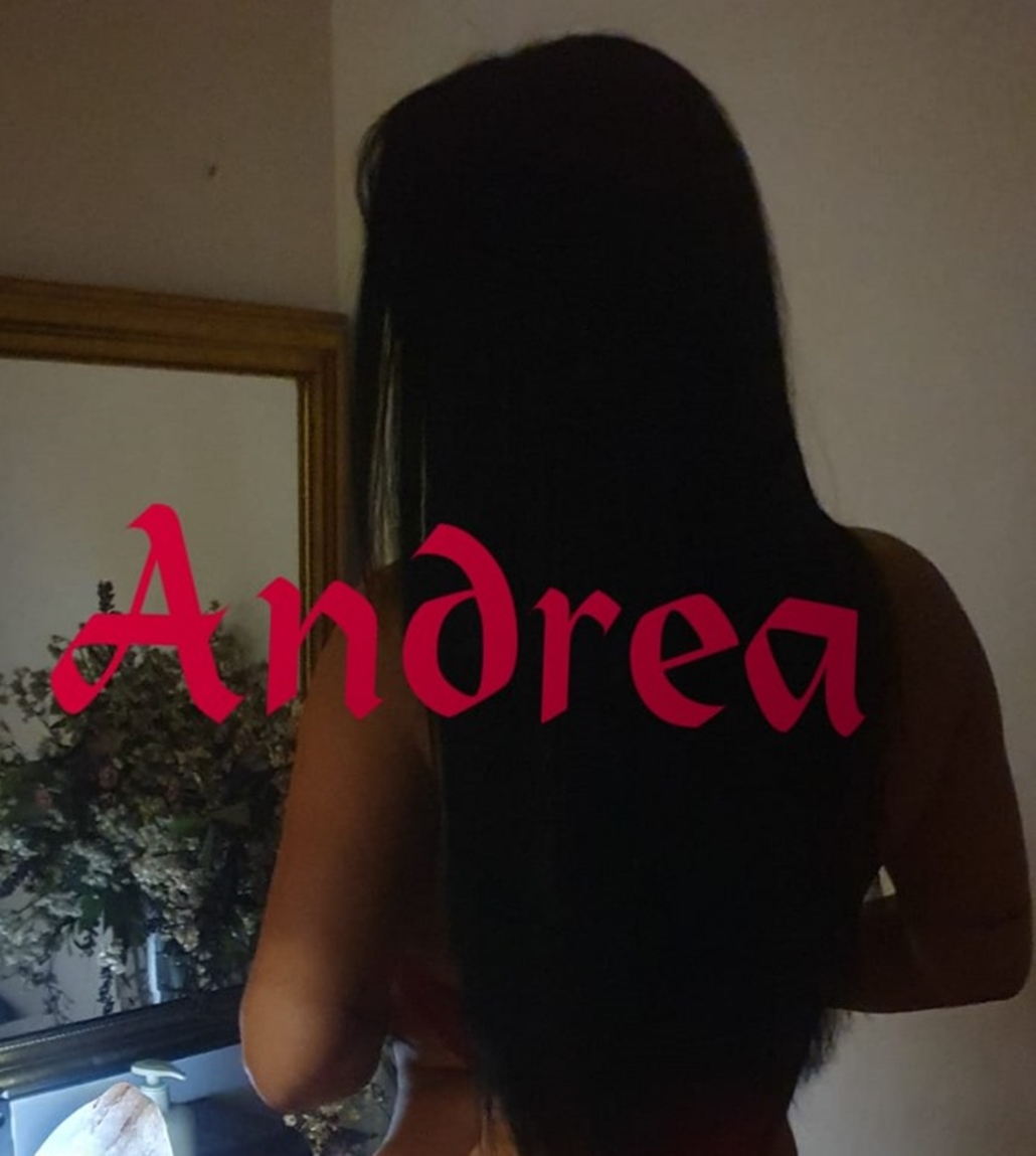 gallery-photo