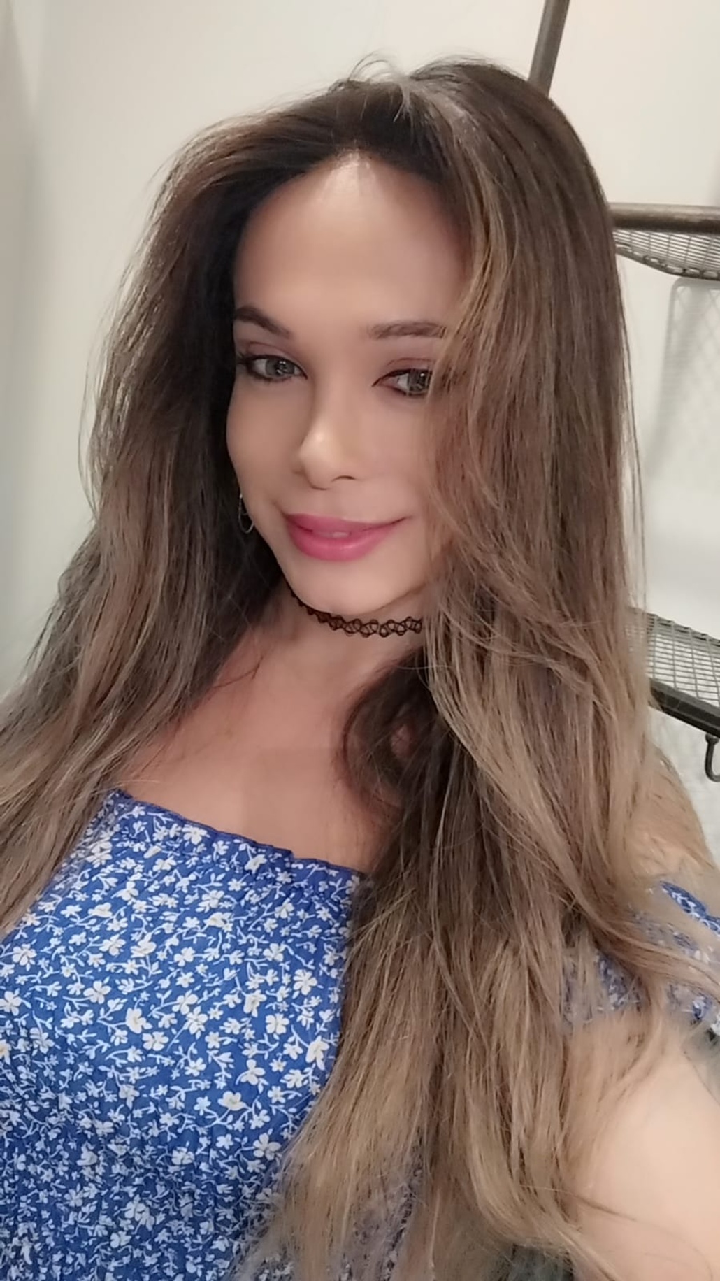 627582021|PATRICIA|Transexual
