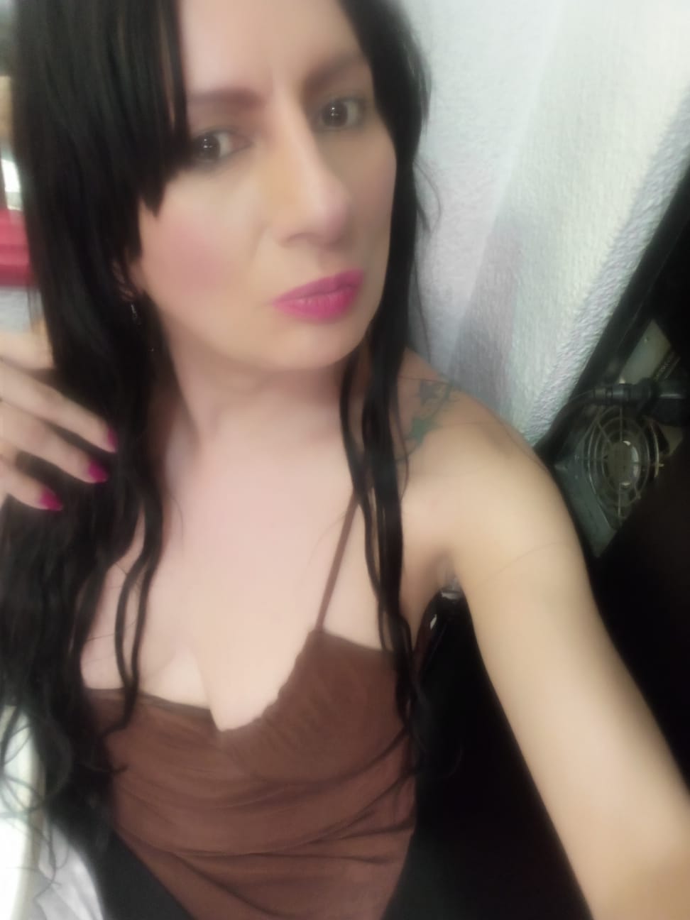 637501290|CATALINA|Transexual