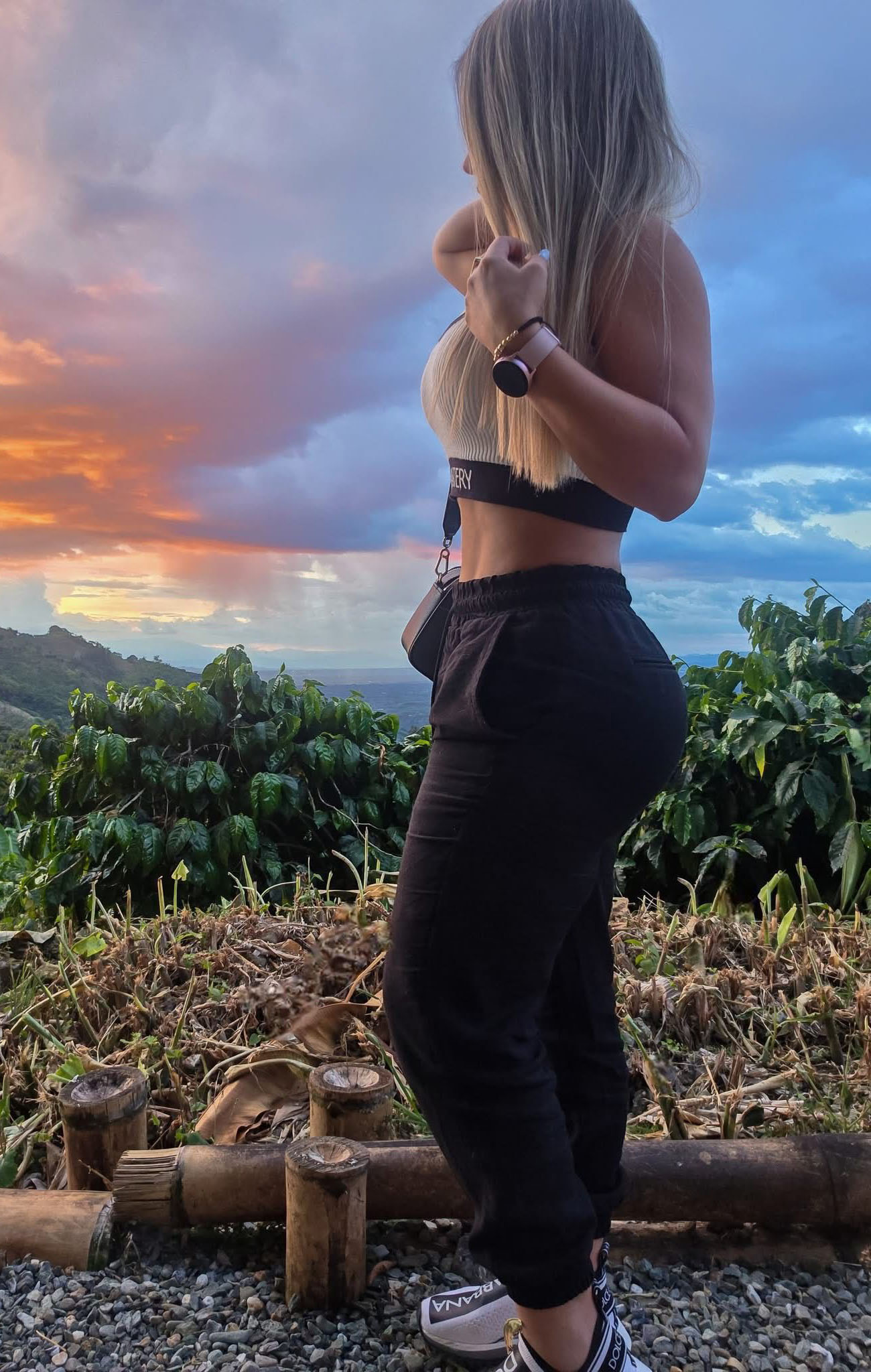 634109317|CLEARE|Chica