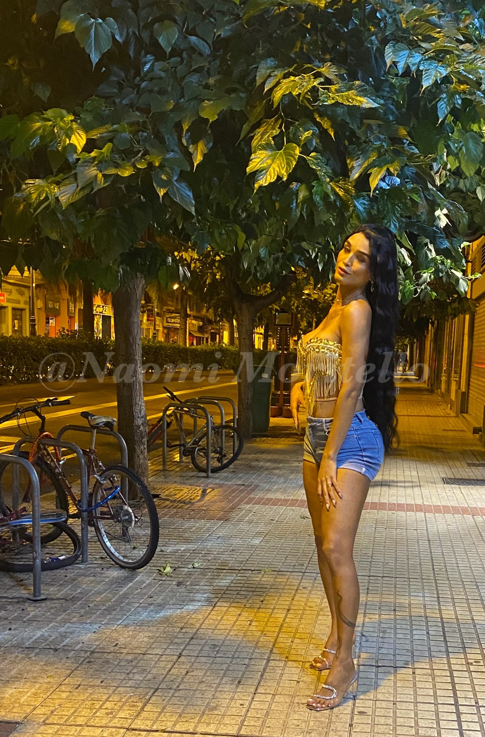 631733062|NAOMI MORITELLO|Transexual