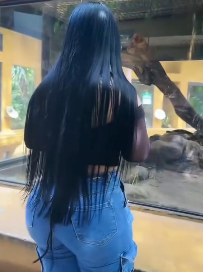 641350426|IRENE|Chica
