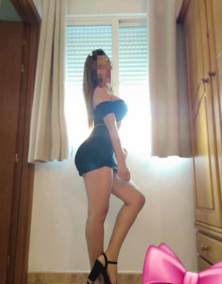604883480|PALMA|Chica