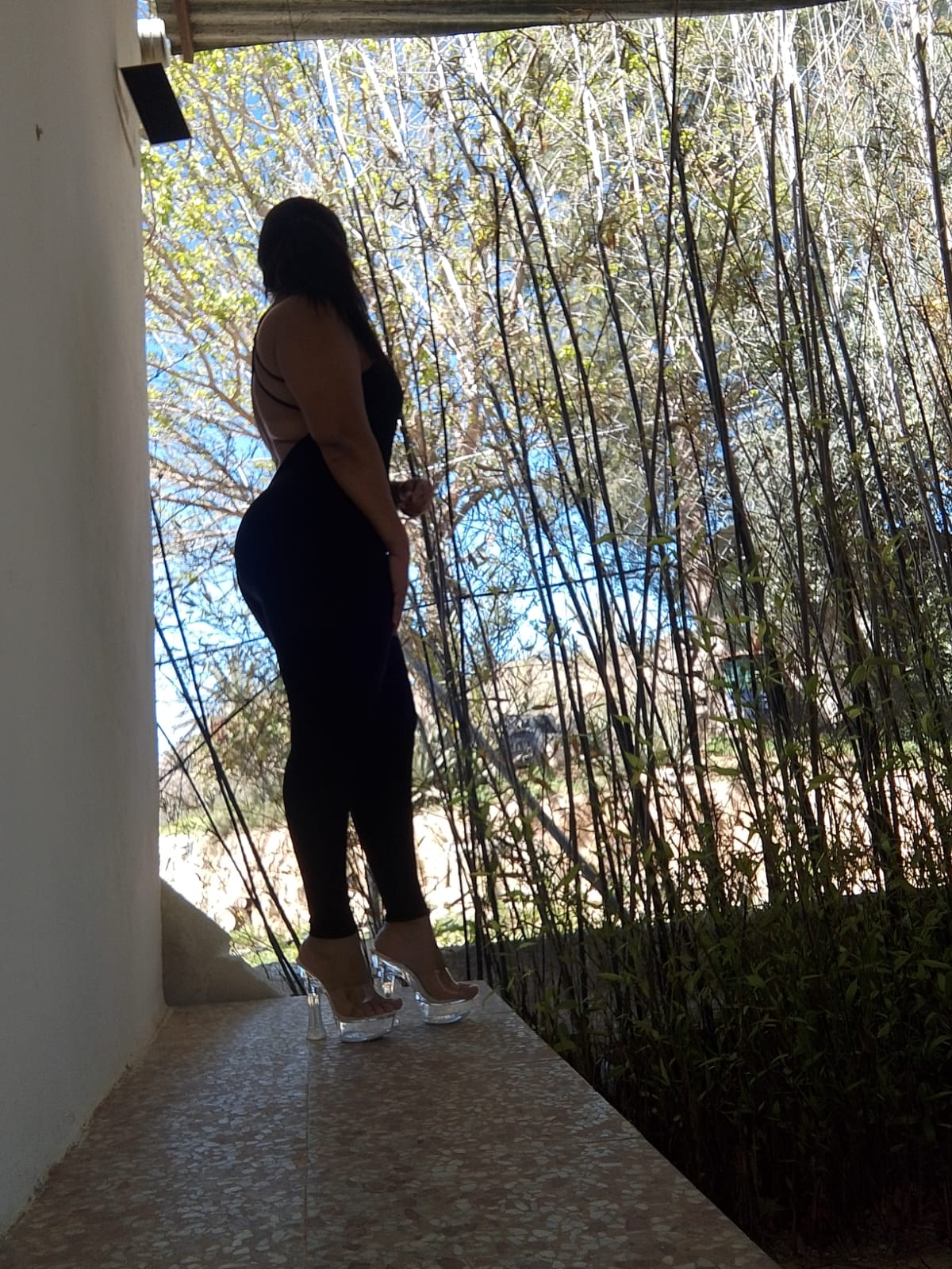 623552959 | BRENDA | Chica